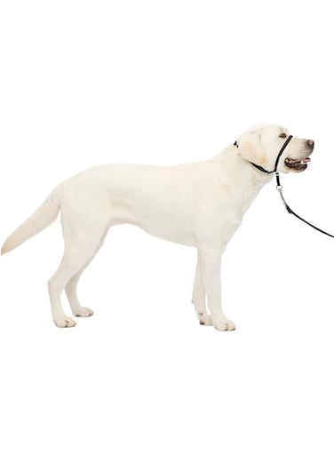 No-Pull Dog Headcollar - The Ultimate Solution to Pulling - Redirects Your Dog's Pulling for Easier Walks - Helps You Regain Large 60-130 Lb, Black