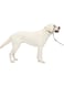 No-Pull Dog Headcollar - The Ultimate Solution to Pulling - Redirects Your Dog's Pulling for Easier Walks - Helps You Regain Large 60-130 Lb, Black