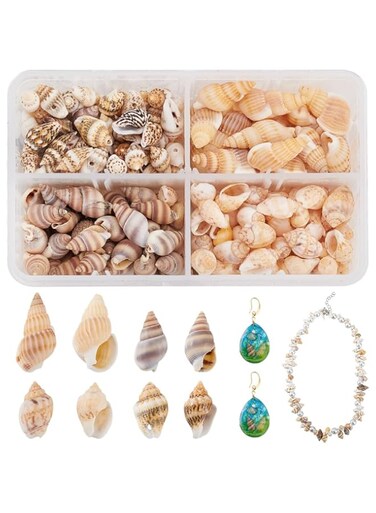 PandaHall About 330pcs 4 Style Spiral Shells Natural Ocean Beach Shells Without Hole for Jewelry Bracelet, Crafts, Home Decor, Aquarium and Vase Filler