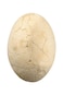 Buki Mega Egg 2137