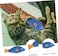 Wild Catz Mr Tartar Plush Cat Toy - 20 x 8cm, 20g