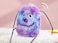 Wild Catz Creepy Crawlers Plush Cat Toy - 11 x 12cm (Assorted Design) - 1Pc