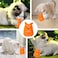 Wild Catz Rabbitz Plush Cat Toy with Multicolours - 11 x 8 x 4.5cm -1Pc