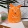 Wild Catz Rabbitz Plush Cat Toy with Multicolours - 11 x 8 x 4.5cm -1Pc