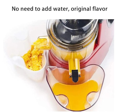 Slow Masticating Juicer &ndash; Cold Press Juicer with Extra Wide Feed Chute, High Juice Yield, Quiet Motor, BPA-Free for Fruits &amp; Vegetables for Summer Juice