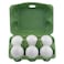 Al Jazira Eco and Vegetarian Feed Hens Eggs, 6 PCS