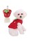2 Packs Dog Cat Clothes,Winter Warm Fleece Puppy Pet Clothes Sweater Shirt Vest for Mini Newborn Extra Small Dogs (Big Red Strawberry, 2XS)