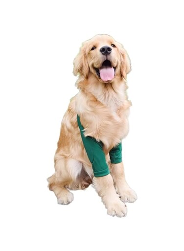Dog Recovery Suit Front Legs,Dog Recovery Sleeve,Dog Recovery Sleeve After Surgery for Female Male,Soft Dog Joint Leg Sleeves After Surgery,Dog Cone Alternative to Stop Licking Leg Wounds (Green, L)