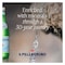 San Pellegrino Sparkling Natural Mineral Water 250ml Pack of 6