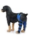 Dog Knee Braces, Extra Support for Pain Arthritis, Dog Brace Hind Legs with Metal Side Stabilizers (M)