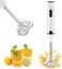 Denx Electric Stick Blender for Soups, Smoothies &amp; Purees