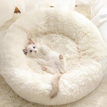 Gavenia Cat Beds for Indoor Cats -20&rsquo;&rsquo;x20&rsquo;&rsquo; Washable Donut Cat and Dog Bed,Soft Plush Pet Cushion，Waterproof Bottom - Fluffy Dog and Cat Calming &amp; Self-Warming Bed for and Sleep Improvement (Beige)