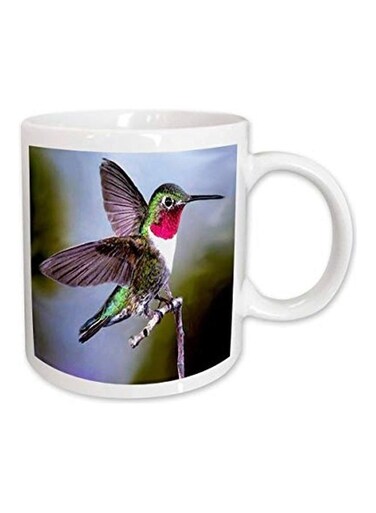 Hummingbird Mug Multicolour