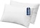 CRAFT&Acirc;&reg; Soft Cushion Fillers with Breathable Microfiber Filling - Set of 2 (14" X 20")
