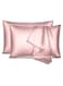 Satin Pillowcase for Hair and Skin Queen - Champagne Gold Silk Pillowcase 2 Pack 76L x 51W CM (20x30 Inches) - Satin Pillow Cases Set of 2 with Envelope Closure