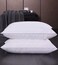 MAXQON Set of 2-Bed Pillow Single Piping Hotel Standard Extra Soft Microfiber Anti Allergic&amp;Anti-bacterial,  Size(50x70CM)