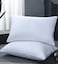 MAXQON Set of 2-Bed Pillow Single Piping Hotel Standard Extra Soft Microfiber Anti Allergic&amp;Anti-bacterial,  Size(50x70CM)