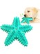Carllg Dog Toys for Aggressive Chewers, Dog Teething Cleaning Toothbrush Toy, Durable Squeaky Interactive Starfish Puppy Toys for Small Medium Large Breed