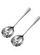 Stainless Steel Colander Drink Strainer, 2 Pcs Colander Kitchen Slotted Spoons, Stainless Steel Colander Serving Spoons, Food Filter Reusable Serving Spoons for Drinks Banquet
