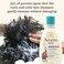 Aveeno Kids Curly Hair Shampoo, Hydrating Shampoo, Kids Curly Hair Products, Oat Extract &amp; Shea Butter Gentle Scent, 12 Fl. Oz (Pack Of 1)