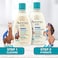Aveeno Baby Kids Curly Hair Conditioner With Oat Extract &amp; Shea Butter, Gently Nourishes &amp; Hydrates For Defined Curls, Tear-Free &amp; Suitable For Sensitive Skin, Hypoallergenic, 12 Fl. Oz