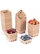 NALACAL 60 Pack Pulp Fiber Berry Baskets, DIY Gift Baskets and Dessert Boxes &ndash; Vented Containers for Strawberries, Blueberries, Raspberries, Vegetables &ndash; Ideal for Grocery Stores and Backyard Parties