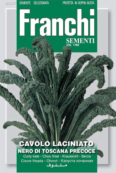 Franchi Sementi Curly Kale Quality Seeds