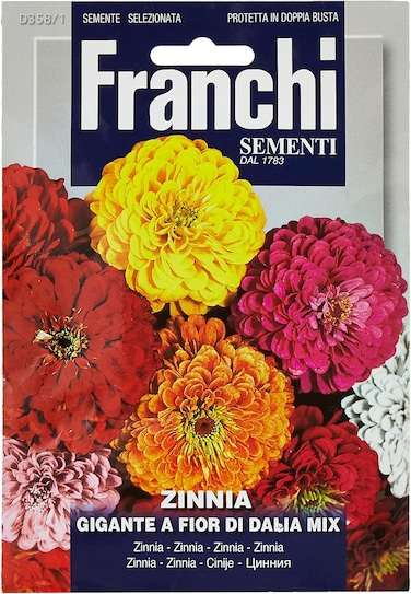 Franchi Zinnia Fior Di Dalia