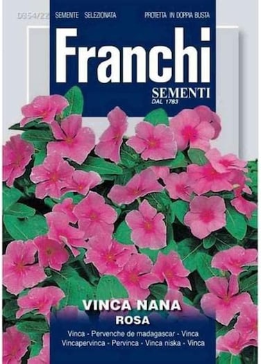 Franchi Sementi Quality Pink Vinca Nana Rosa Seeds