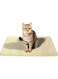 Beauenty Cat Litter Catching Pad, Honeycomb Double-Layer Design, Urine And Waterproof Material, Splash Proof Pad, Keeps The Floor/Carpet Clean, Easier To Clean, Washable Pet Cat Supplies (60x90CM)
