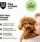 Flea Screen Combo Small Dogs, 3 Pipette - Spot-On Flea Treatment for Small Dogs &amp; Puppies Over 8 Weeks Old (2-10kg) - Kills Fleas, Flea Eggs, Ticks - Provides Up to 8 Weeks Protection
