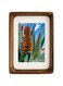 Tazweeq Natural Solid Walnut Wooden Photo Frames,Mid Century Inspired Rounded Picture Frames with Mat,Vertical or Horizontal Display for Tabletop or Wall Mounting Display (4x6 matted to 3x5)
