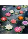 Happy Trees 12 Pcs Artificial Floating Foam Lotus Flower with Water Lily Pad, Lifelike Ornanment Perfect for Home Garden Pond Decoration