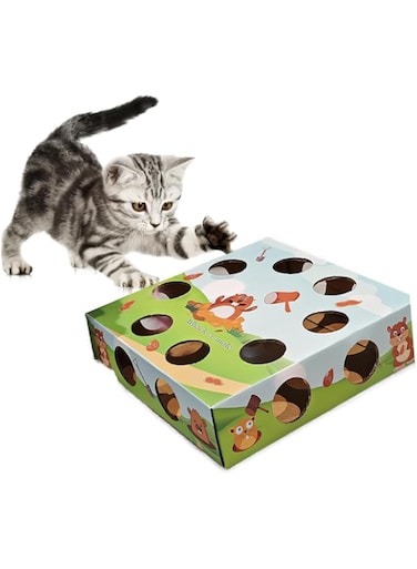 NeoStyle Cat Interactive Toys，Feathered Toy，Interactive Kitten Cat Toys Indoor Cats，Promotes Cat Exercise(Green)