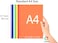 LAVISH A4 Double-Sided Colored Paper   100 Sheets Pack   29.7 &times; 21 cm   Assorted Colors   Easy to Cut   For Art &amp; Craft, Printing, Scrapbooking, Decoration &amp; Gift Wrapping