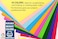 LAVISH A4 Double-Sided Colored Paper   100 Sheets Pack   29.7 &times; 21 cm   Assorted Colors   Easy to Cut   For Art &amp; Craft, Printing, Scrapbooking, Decoration &amp; Gift Wrapping