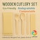 LAVISH Biodegradable 10-Inch Bagasse Plates with Wooden Cutlery   10-Pack Eco-Friendly Disposable Dinnerware Set for Hot &amp; Cold Food