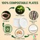 LAVISH Biodegradable 10-Inch Bagasse Plates with Wooden Cutlery   10-Pack Eco-Friendly Disposable Dinnerware Set for Hot &amp; Cold Food