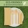 LAVISH Biodegradable 10-Inch Bagasse Plates with Wooden Cutlery   10-Pack Eco-Friendly Disposable Dinnerware Set for Hot &amp; Cold Food