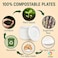 LAVISH Biodegradable -9 Inch Bagasse Plates with Wooden Cutlery   10-Pack Eco-Friendly Disposable Dinnerware Set for Hot &amp; Cold Food