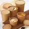 LAVISH 25 Pcs Soup Cups Paper Containers- [16Oz/460ml] Kraft Food Disposable Go To Bowls, Eco-Friendly Biodegradable Perfect For Party, Desert, Hot &amp; Cold Use