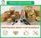 LAVISH 100 Pcs Soup Cups Paper Containers- [12Oz/350ml] Kraft Food Disposable Go To Bowls, Eco-Friendly Biodegradable Perfect For Party, Desert, Hot &amp; Cold Use
