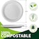 LAVISH 10-Inch Biodegradable Bagasse Plates   10-Pack Eco-Friendly Sugarcane Disposable Plates   Heavy-Duty Compostable &amp; Microwave-Safe Plates for Parties &amp; Daily Use
