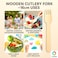 LAVISH Wooden Fork [50 Pcs-16cm] &ndash; Disposable Birchwood Utensils   Eco-Friendly, Biodegradable, Compostable &amp; Plastic-Free for Party &amp; Travel