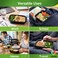 LAVISH 32Oz Disposable Rectangular  Containers with Lids 20 Pack, Microwave Safe Meal Prep Containers Plastic Lunch &amp; Takeaway Food Storage Boxes