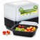 LAVISH 32Oz Disposable Rectangular  Containers with Lids 20 Pack, Microwave Safe Meal Prep Containers Plastic Lunch &amp; Takeaway Food Storage Boxes