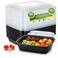LAVISH 32Oz Disposable Rectangular  Containers with Lids 50 Pack, Microwave Safe Meal Prep Containers Plastic Lunch &amp; Takeaway Food Storage Boxes