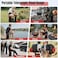Outdoor Foldable Camping Stool Telescopic Portable Seat Red Lightweight Strong Folding Stool for Fishing Hiking Travel Picnic BBQ