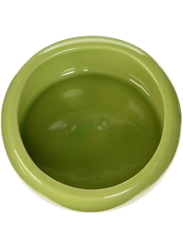 Living World - Ergonomic Dish Green - Large