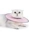 Aputue Waterproof Cat Recovery Collar, Lightweight Elizabethan Collars, Adjustable Adjustable Cat Neck Protective Cat Collar, Pet Cone Collar, Suitable for Cats, Small Dog, Puppy